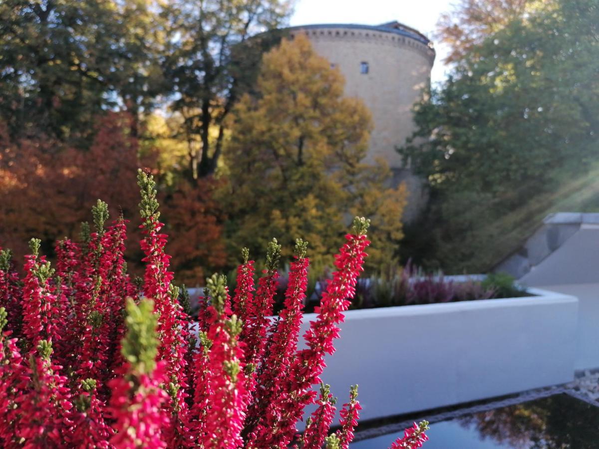 Apartment Serenade Am Zwinger Goslar Dış mekan fotoğraf