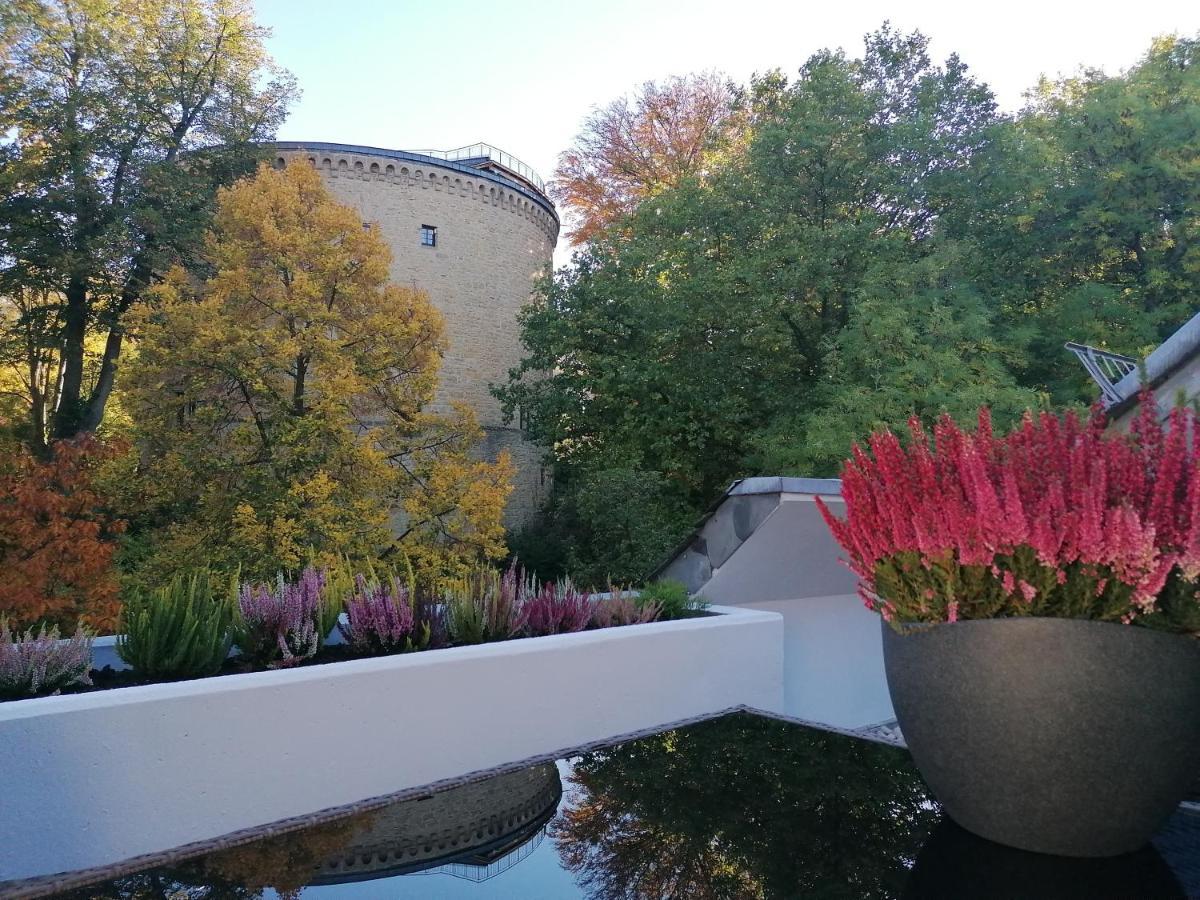 Apartment Serenade Am Zwinger Goslar Dış mekan fotoğraf